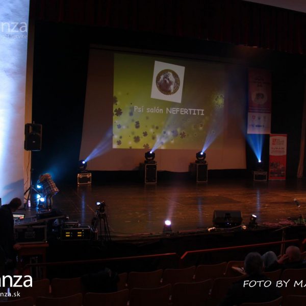 664746_253804784745364_1704416684_o